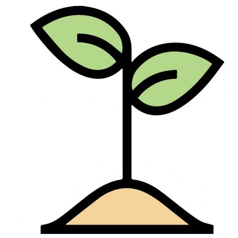 Plant growing out of soil